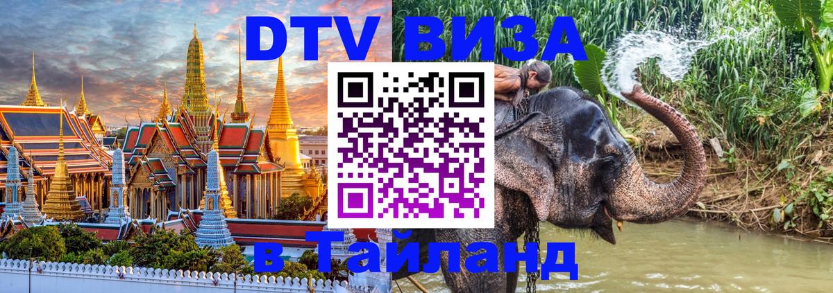 Оформление DTV визы под ключ: стоимость и тарифы, только загранпаспорт - Кемерово  07.01.2026 